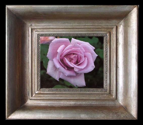 framed  unknow artist Still life floral, all kinds of reality flowers oil painting  272, Ta077-2
